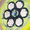 Optical Composite Cable